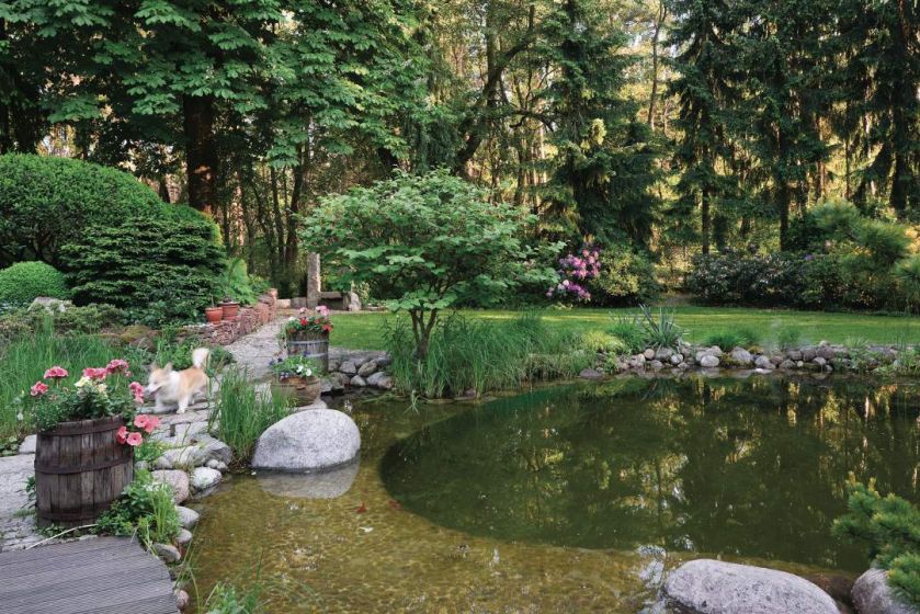 Ten ogród robi to, co chce: naturalnie zaaranżowany ogród blisko lasu