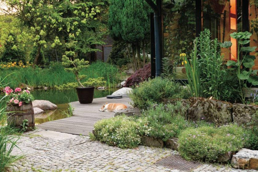 Ten ogród robi to, co chce: naturalnie zaaranżowany ogród blisko lasu