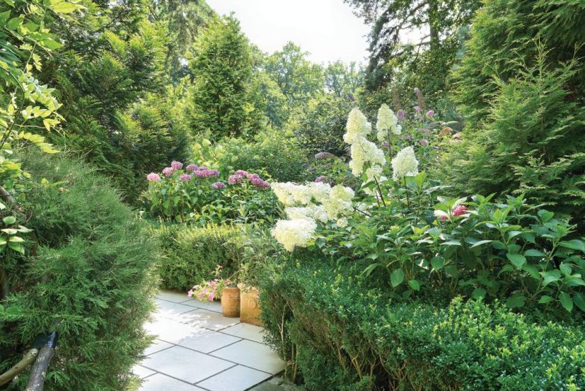 Pośród drzew kryją się różne odmiany rododendronów, pachnących kalin, hortensji i hostów...