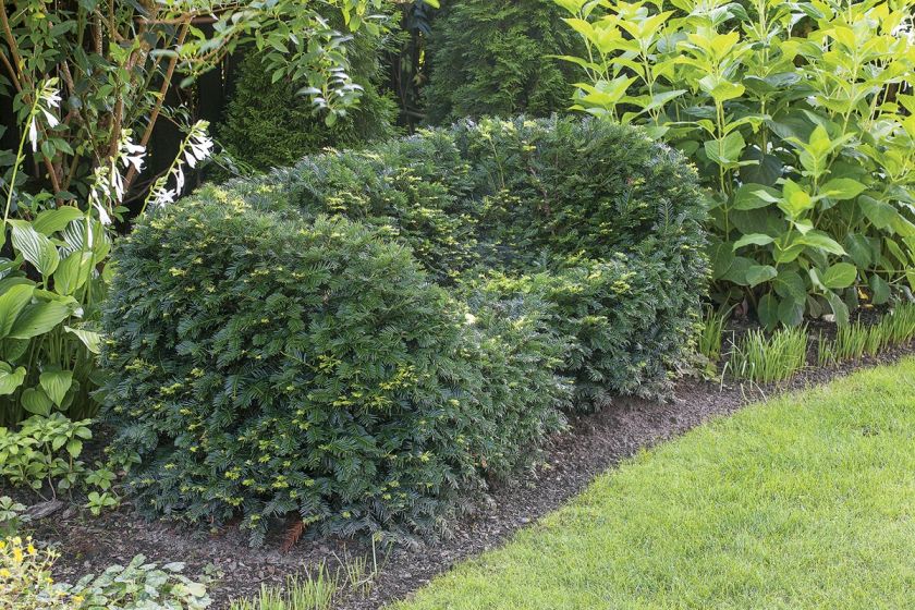 aranżacja ogrodu inspiracje