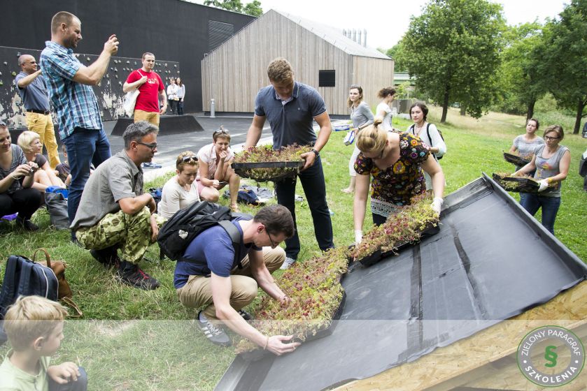 Projekt ZIELONE MIASTO: warsztaty MÓJ ZIELONY DACH.