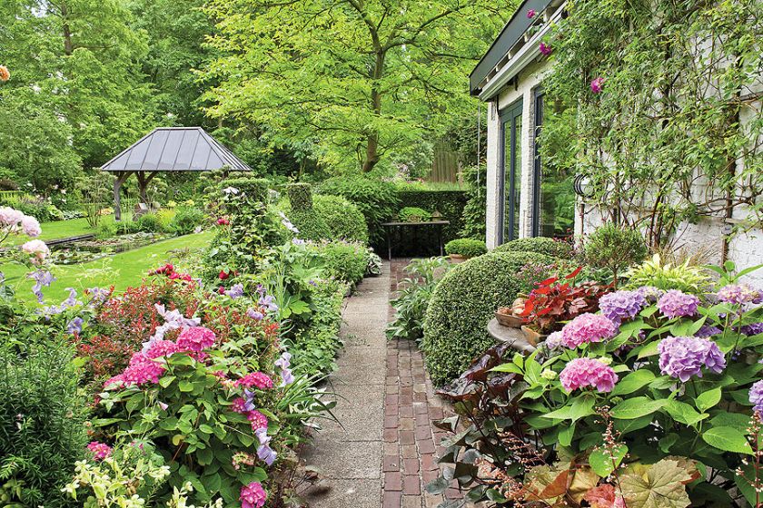 Dom z ogrodem pełnym wysokich drzew