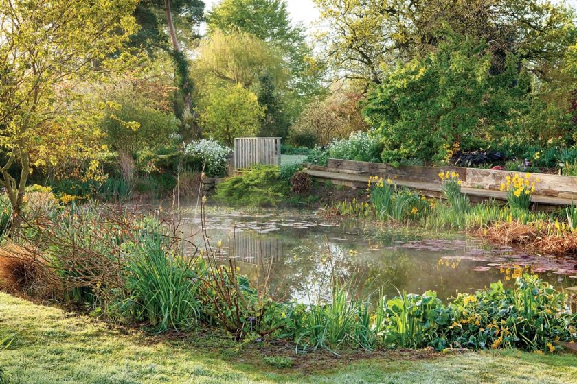 wiosna w angielskim ogrodzie