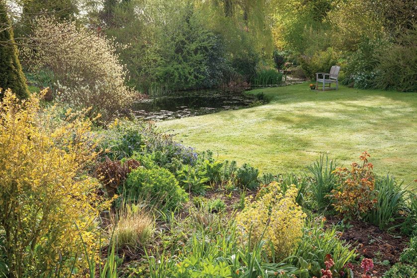 rośliny ogrodowe wiosenne