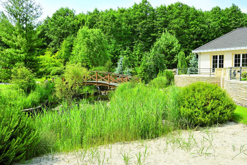 Przez działkę płynie strumyk. Wokół drzewa iglaste, które zwykle rosną nad górskimi potokami