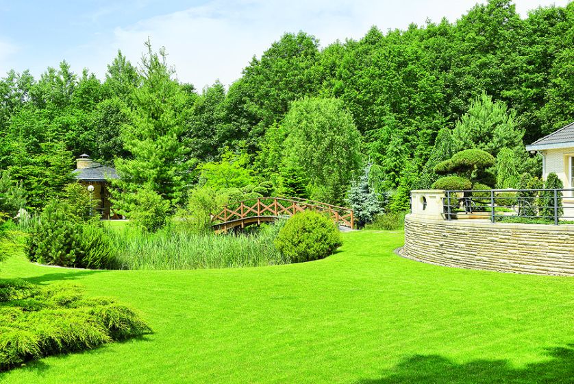 Przez działkę płynie strumyk. Wokół drzewa iglaste, które zwykle rosną nad górskimi potokami