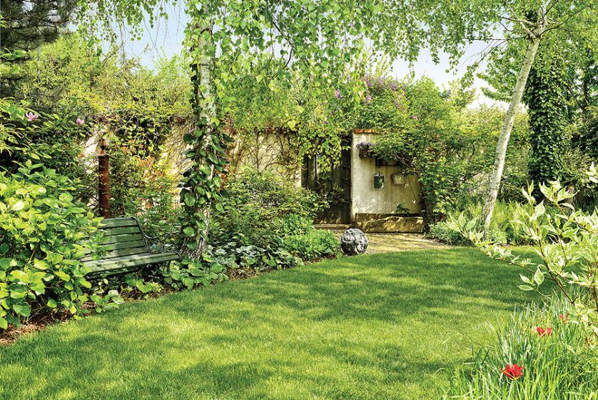 Przy pracach ogrodowych pomaga właścicielce pan Mietek.