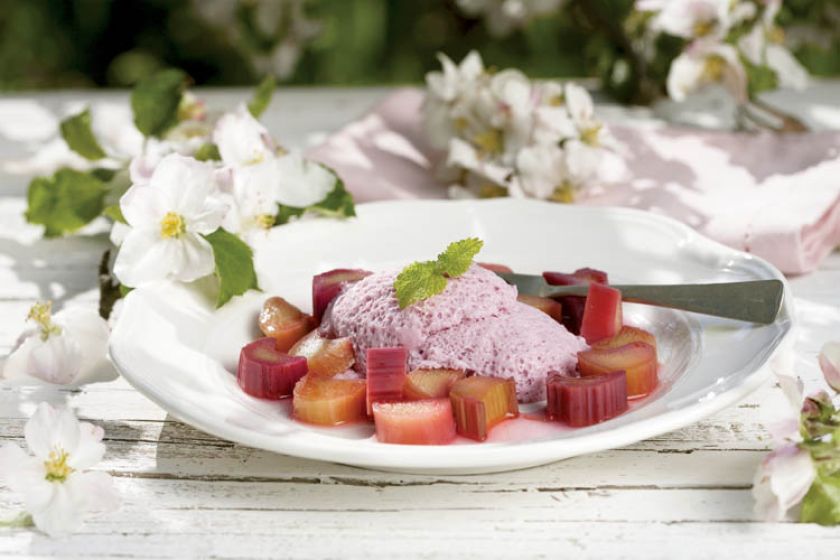 Rabarbar z lodami. Rabarbarowa uczta