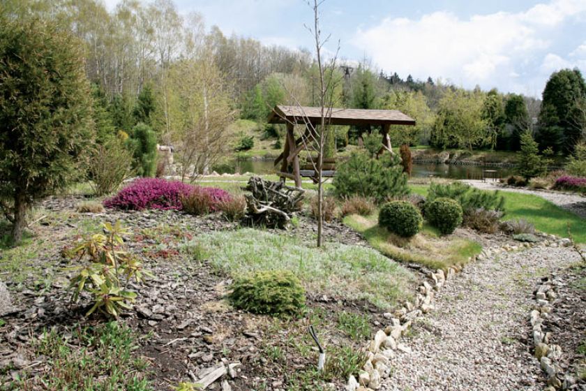 Rododendron jeszcze nie zakwitł, ale wrzośce.