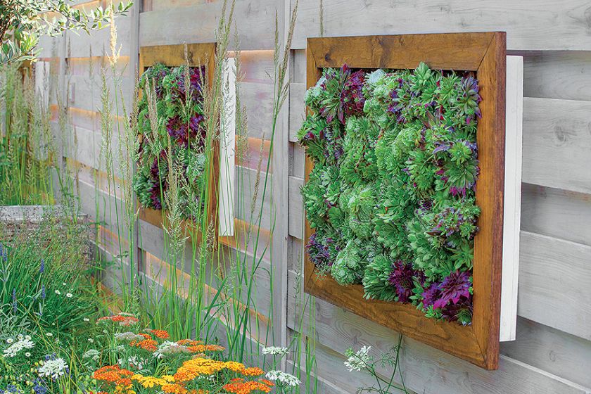 Rojnik - jak obraz na ścianie. Ogród na ścianie