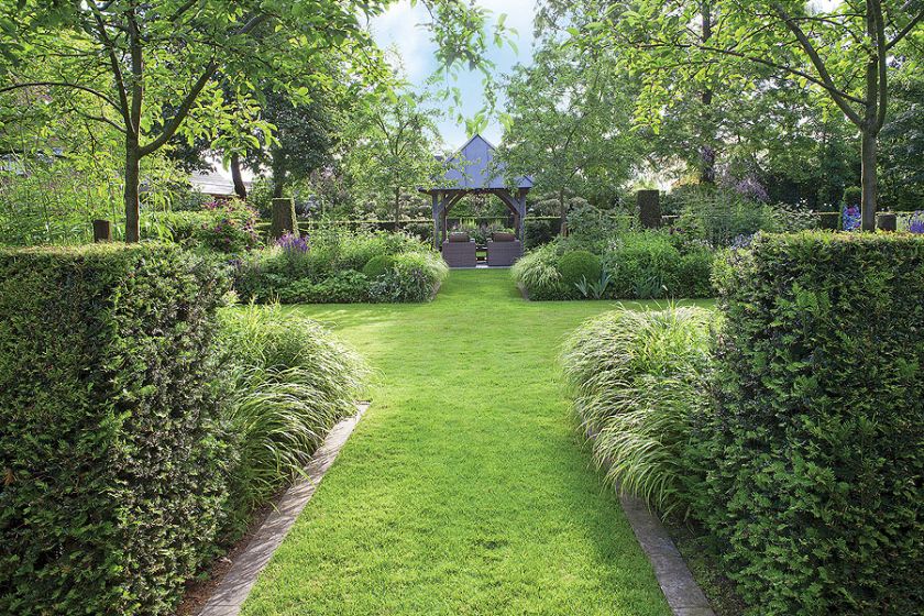 Dom z ogrodem pełnym wysokich drzew