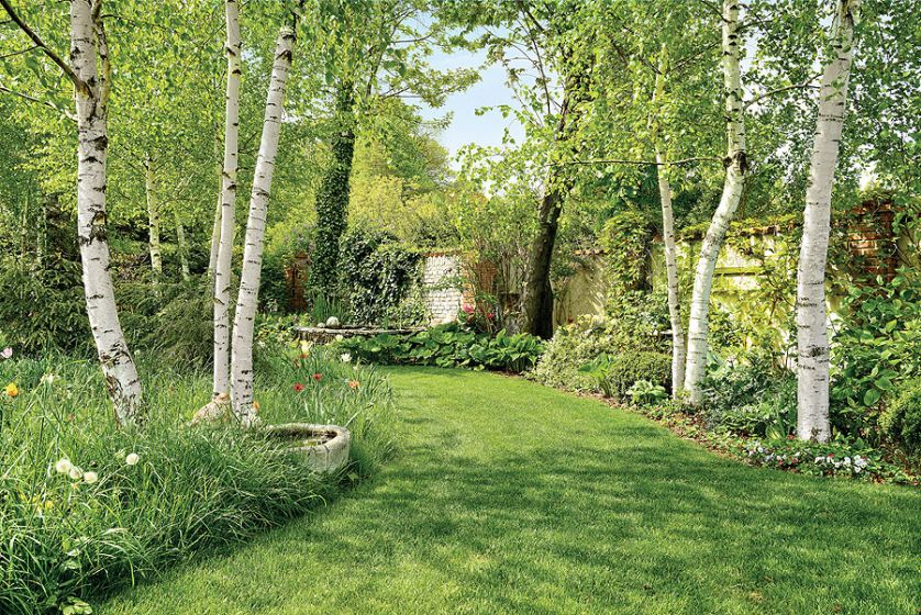 Są w nim brzozowy zakątek, zioła, angielskie róże i oczka wodne.