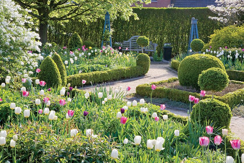 Ścieżki i rabaty obsadzone niskimi żywopłotami i bukszpanowymi kulami albo stożkami.