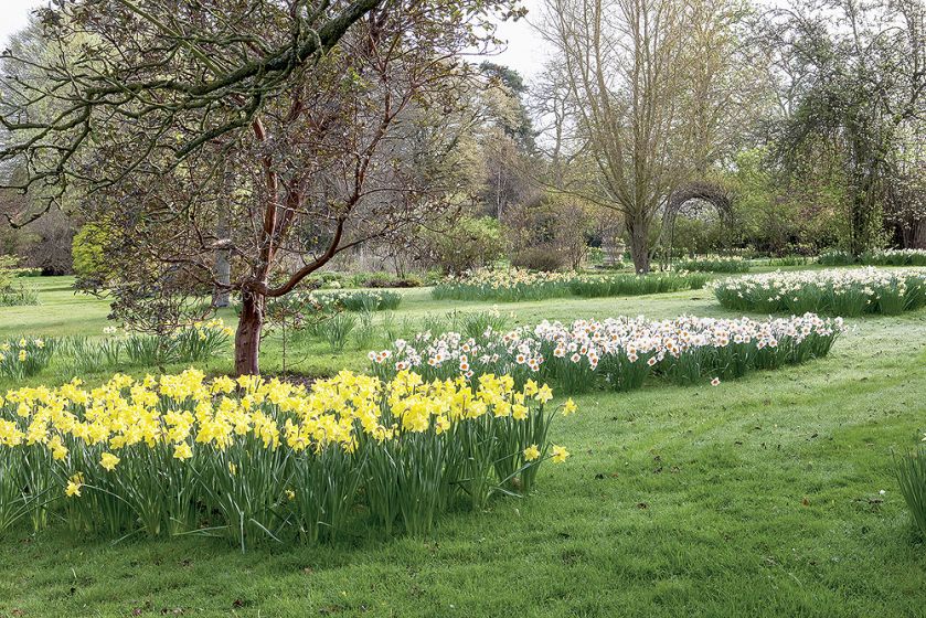 Senne miasteczko Ilmington ożywa dwa razy do roku: wiosną, gdy kwitną sady, i jesienią, kiedy