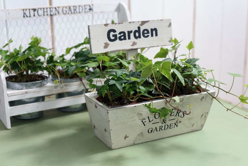 Skrzynki, osłonki, donice w stylu prowansalskim wykonane mogą być z ceramiki, ale także z drewna