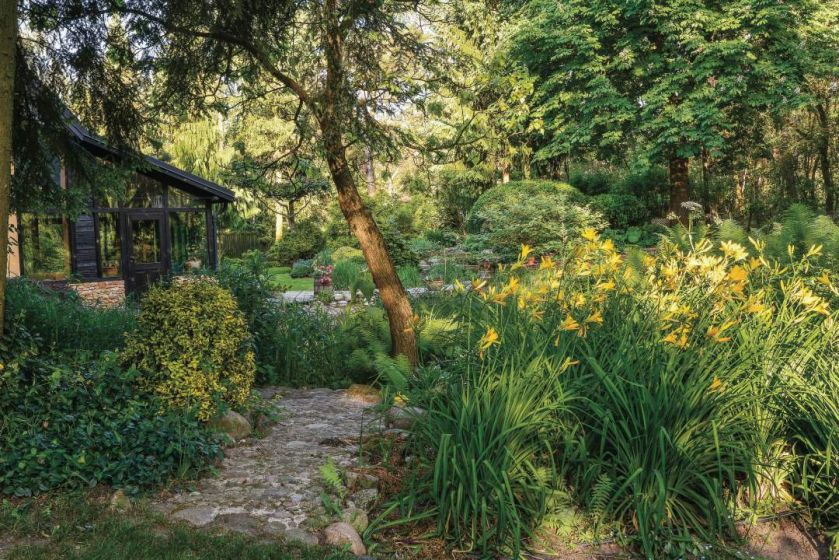 Ten ogród robi to, co chce: naturalnie zaaranżowany ogród blisko lasu