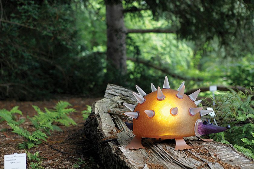 Magiczne dekoracje do domu i ogrodu