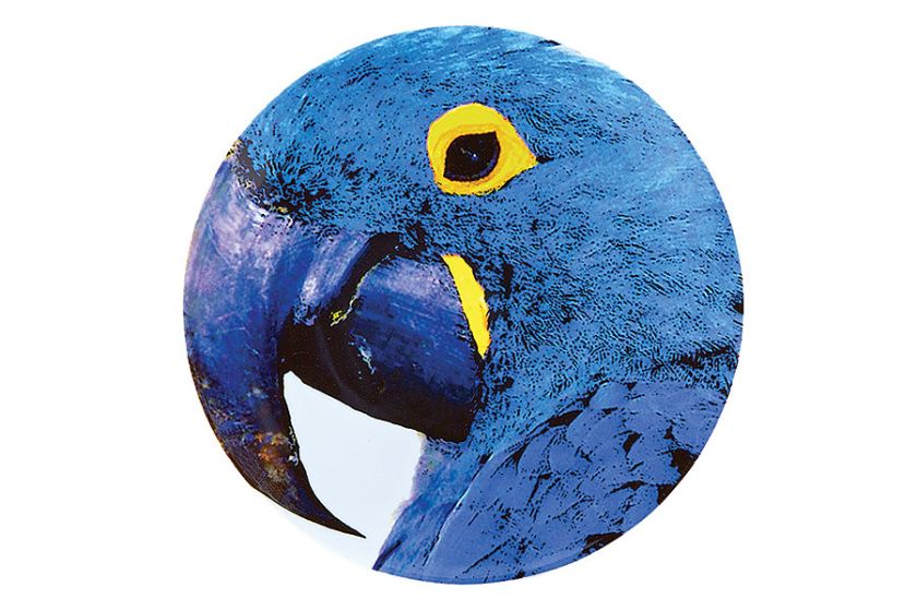 Talerze, miski i dzbanki powstały na egzotycznym Południu, pełnym wibrujących kolorów i radosnych wzorów. Kolekcję