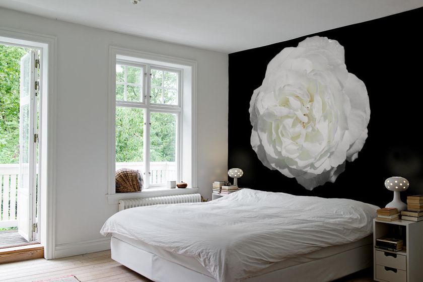 Tapeta Boule de Neige, Mr Perswall, Kolekcja What s Your Story