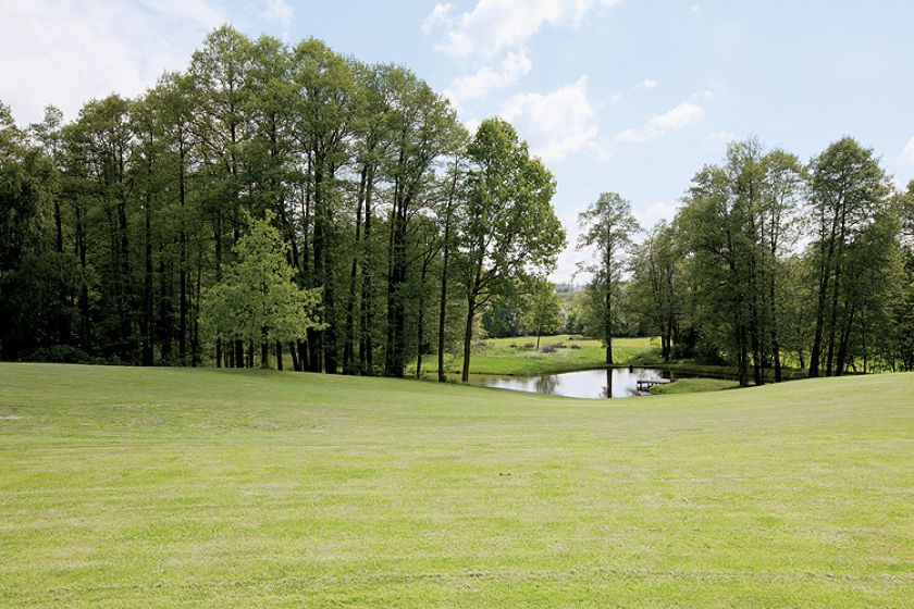 Trawnik jak na miłośników golfa przystało.