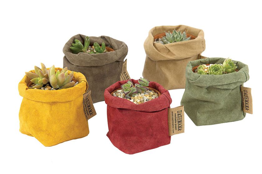 UASHMAMA- włoska robota