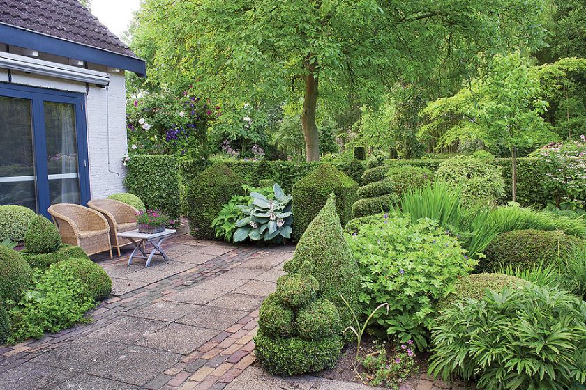 W całym ogrodzie jest mnóstwo fantazyjnie przyciętych żywopłotów.