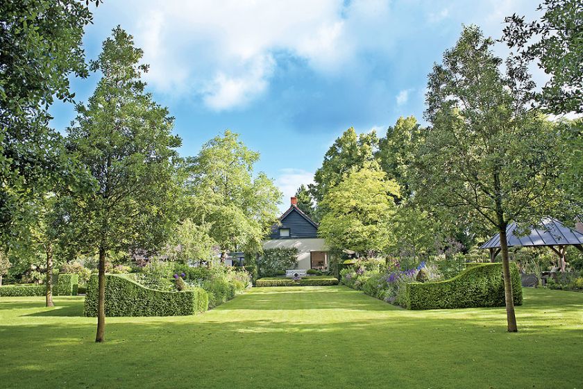 Dom z ogrodem pełnym wysokich drzew