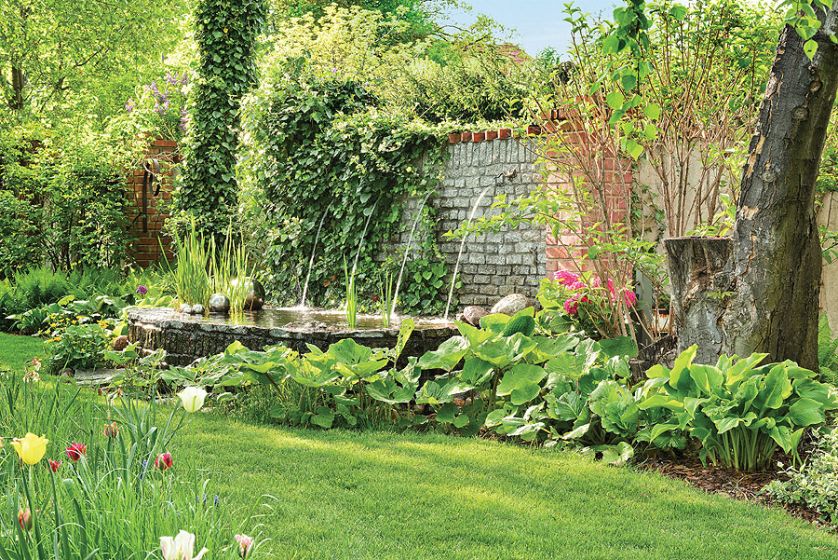 W ogrodzie jest stara wisteria, akanty, paulownia z liśćmi w kształcie serc, rozmaryny oraz rzadko spotykane w Polsce figi