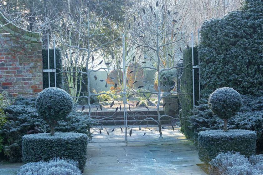 Piękny ogród zimą