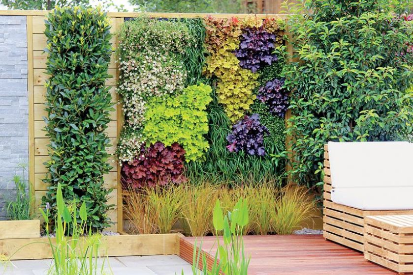 Wiosenne kwiaty w ogrodzie