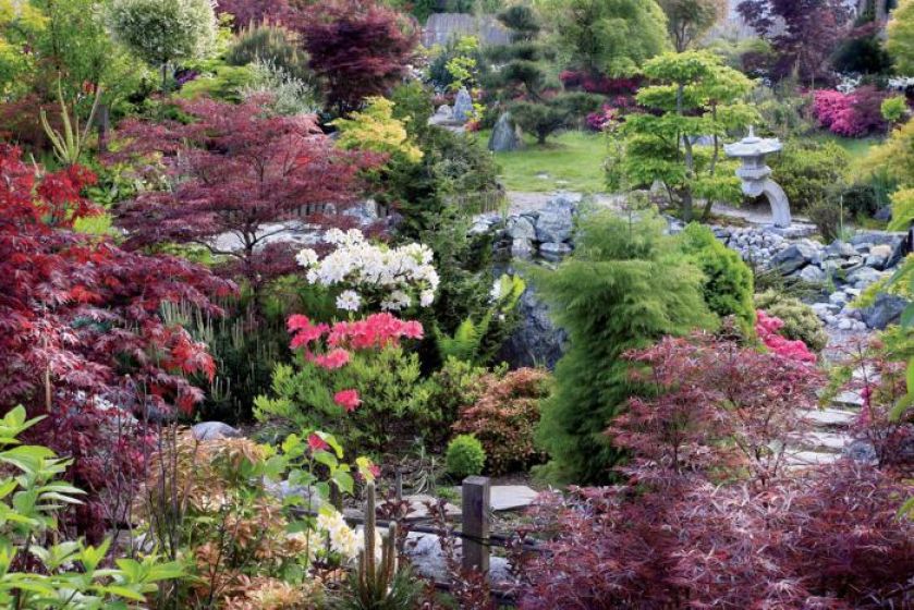 Wokół oczka wodnego w części nazywanej ogrodem gór i jezior kwitną kosaćce, funkie, paprocie, azalie i klony japońskie.