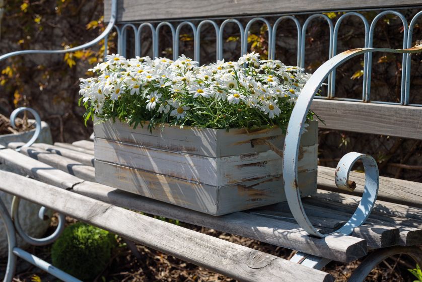 Wygląda jak skrzynka po jabłkach i dobrze. Dodatki w stylu prowansalskim czy vintage specjalnie stylizowane