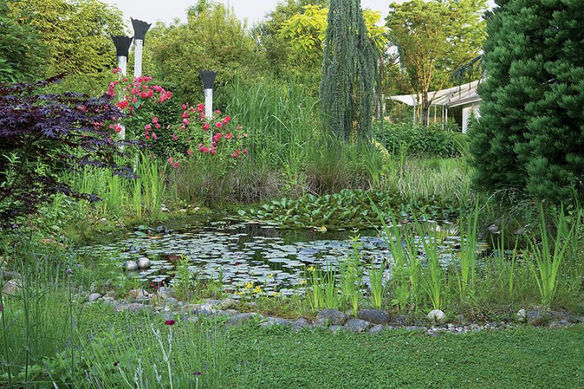 Z prowadzonego pod linijkę ogród staje się dziki, nieokiełznany.