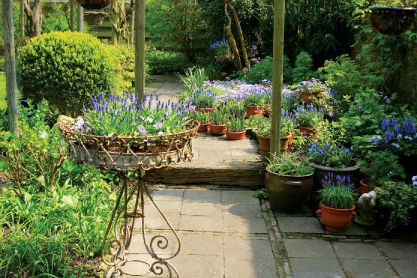 Zapraszamy kwiaty do ogrodu