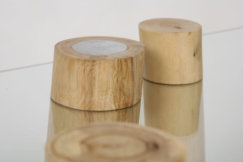 Zdjęcia: Wood Design. Drewno i szkło