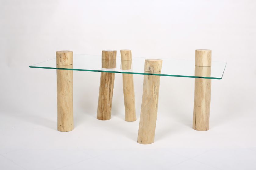 Zdjęcia: Wood Design. Drewno i szkło