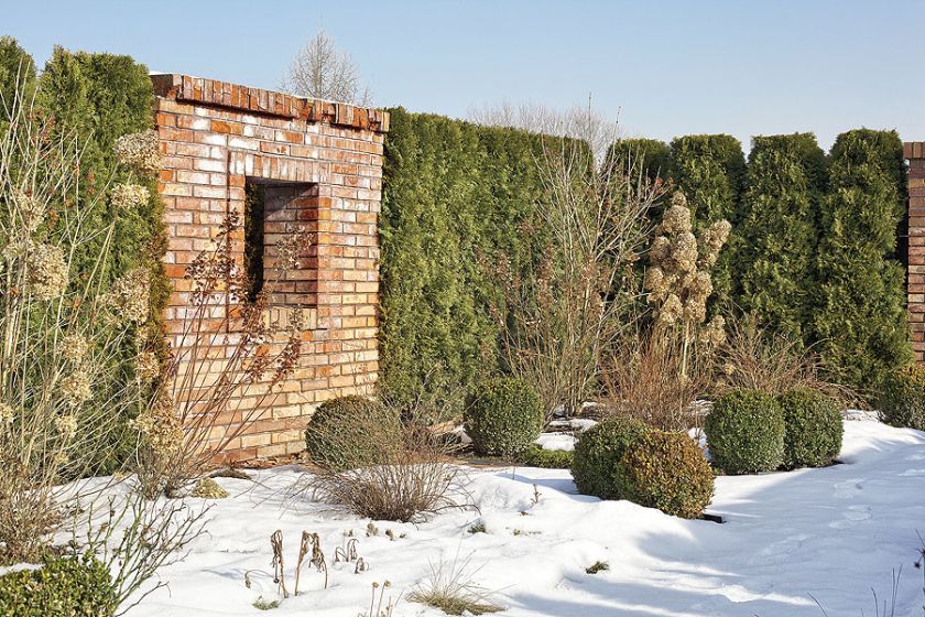 Tak wygląda ogród w stylu angielskim