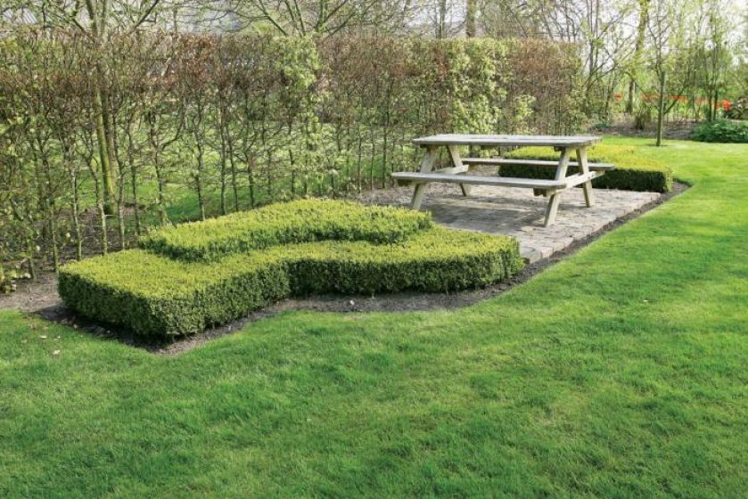 Holenderski ogród w stylu francuskim