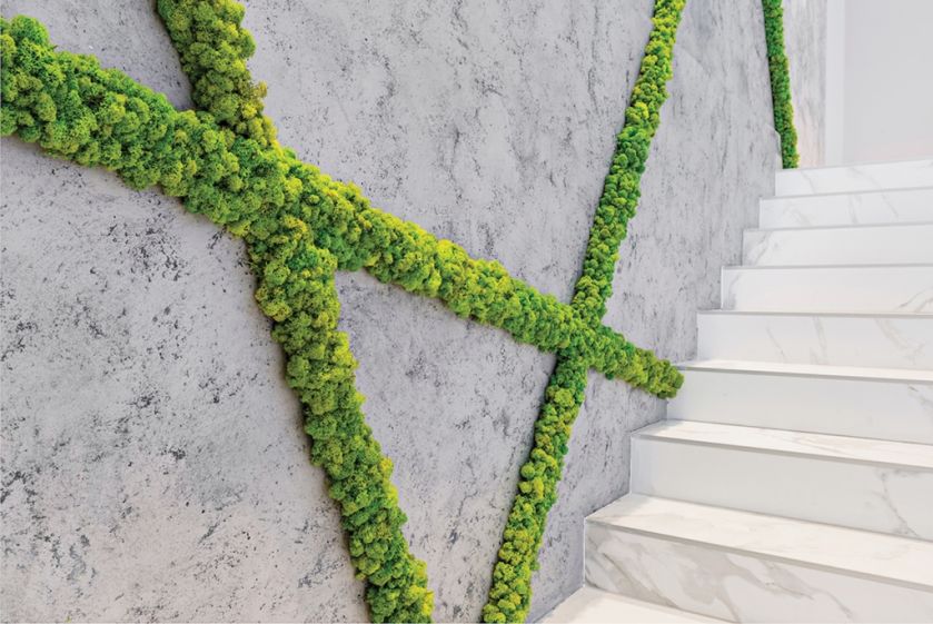 Zielone ściany z chrobotka reniferowego, mossdecor.pl