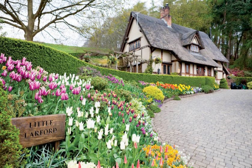 Co roku w kwietniu tlumy ściągają do miasteczka Astley Burf w zachodniej Anglii, by podziwiać tulipanowe pola.