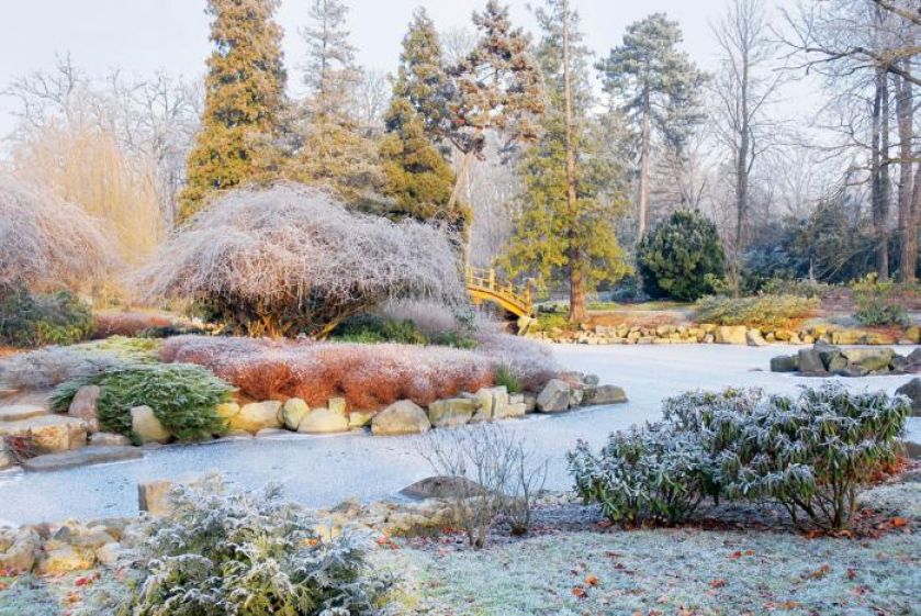 Kamienie dekorują oczko wodne. Ogród japoński pod śniegiem