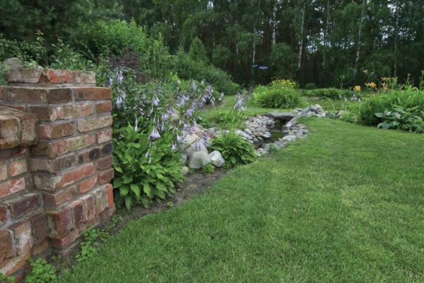 Mały strumyk wpada do stawu. Jak lawenda przegoniła żyto