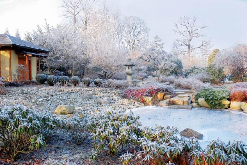 Ogród japoński pod śniegiem. Ogród japoński pod śniegiem
