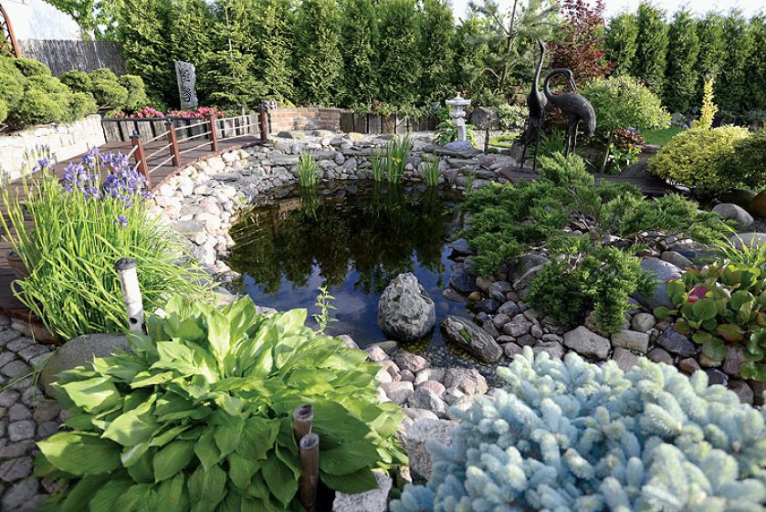 Ogród japoński - pomysł nie jest dla narwańców. Potrzeba mnóstwo cierpliwości, by rzecz doprowadzić do końca.