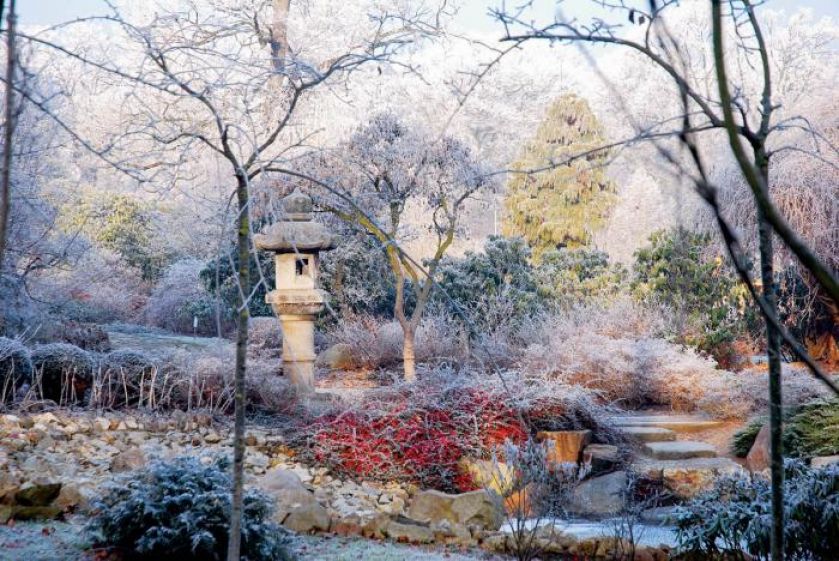 Ogród japoński zimą. Ogród japoński pod śniegiem