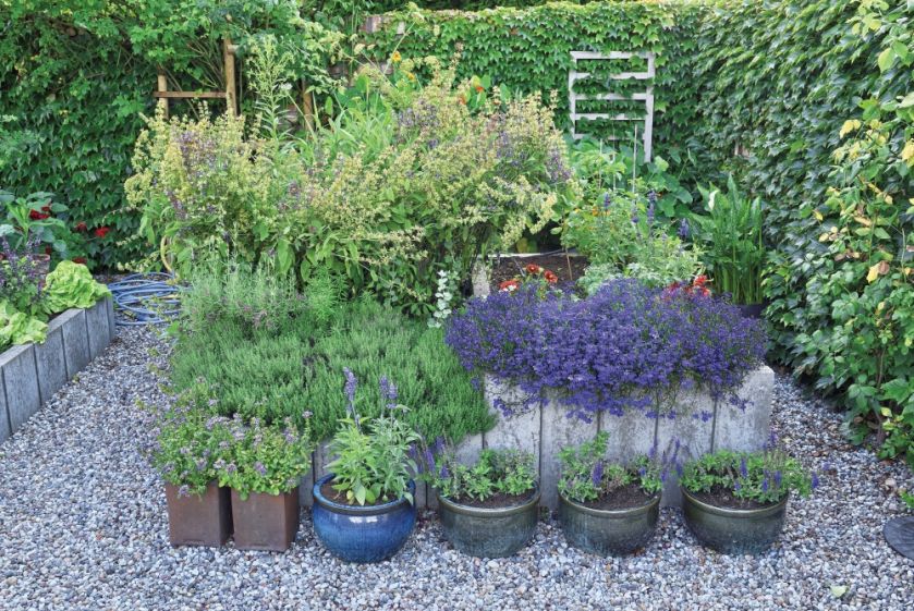 ogród z oczkiem wodnym i trejażem