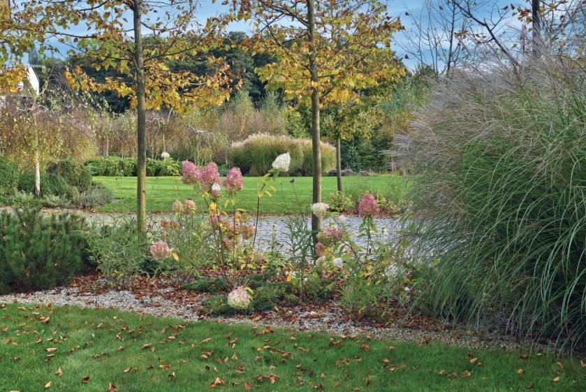 jesienne kwiaty i rośliny ogrodowe