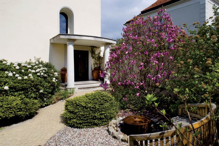 Przed wejściem do domu wiosną kwitnie magnolia.