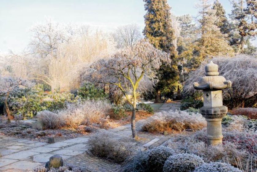 Ścieżka z kamiennych płyt połączonych z granitową kostką będzie ciekawie wyglądała w każdym ogrodzie.