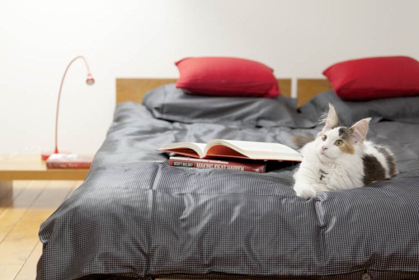 Spokojne kolory przyprawione krwistą, pulsującą czerwienią.